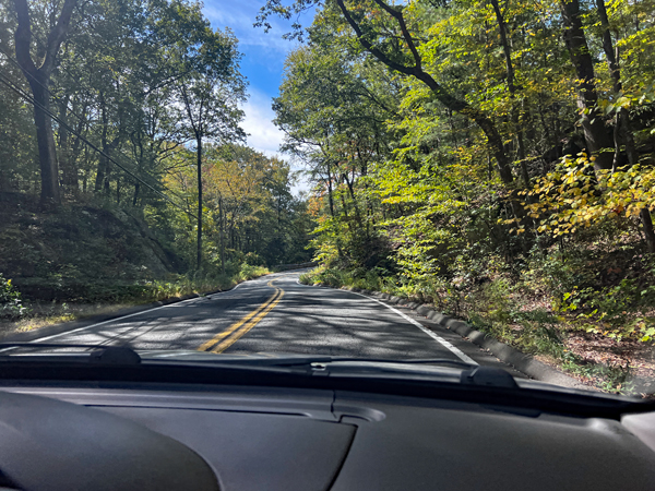 Leaving Frankie Lane