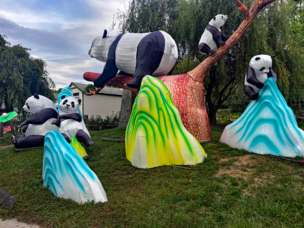 Pandas having fun during the day