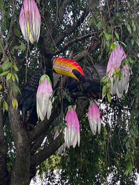 Toucan hiding in the tree