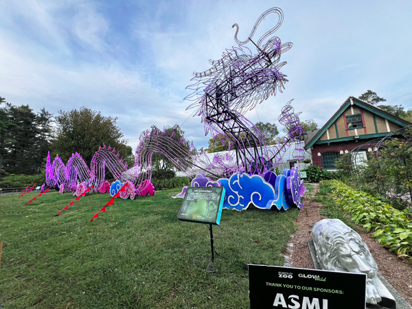 Light Sculpture Dragon display