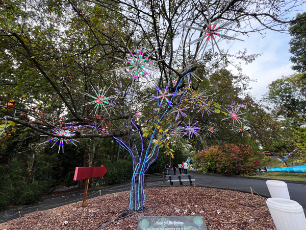 Tree of LIfe and the white drums