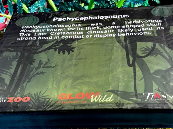 Pachycephalosaurus dinosaur