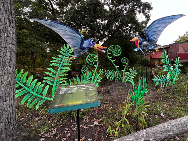 Rhamphorthynchus repiles