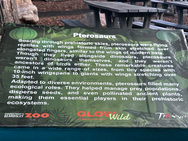 sign about Pterosaurs