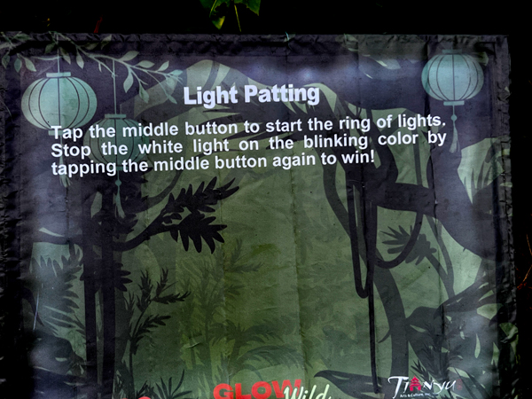 Ring of Lights instructions