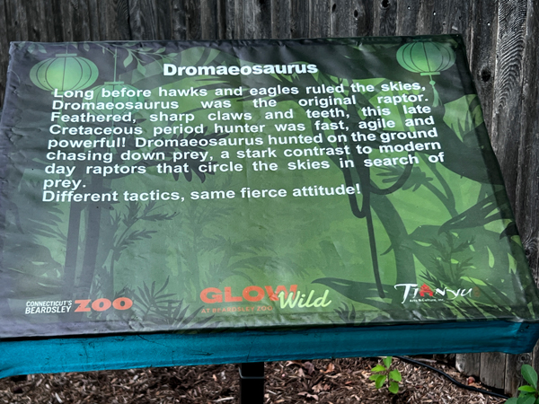 Dromaeosaurus - the orginal raptor sing