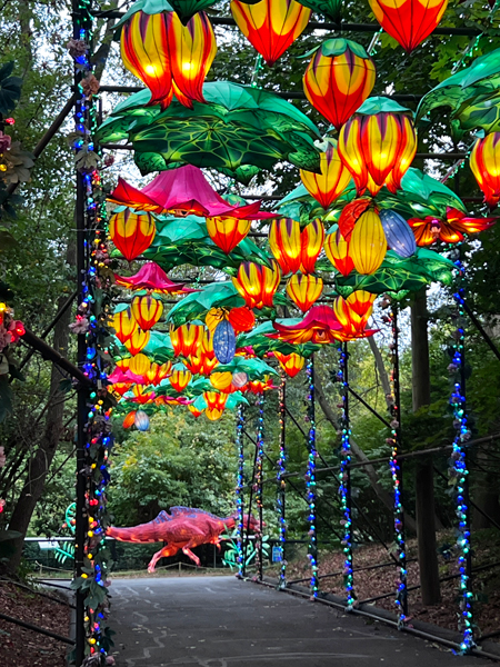 lighted flowers overhead and a dinosaur at the end