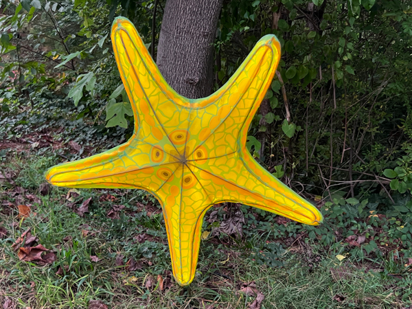 yellow starfish