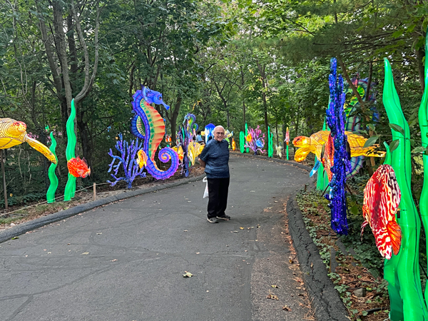 Lee Duquette and seahorses