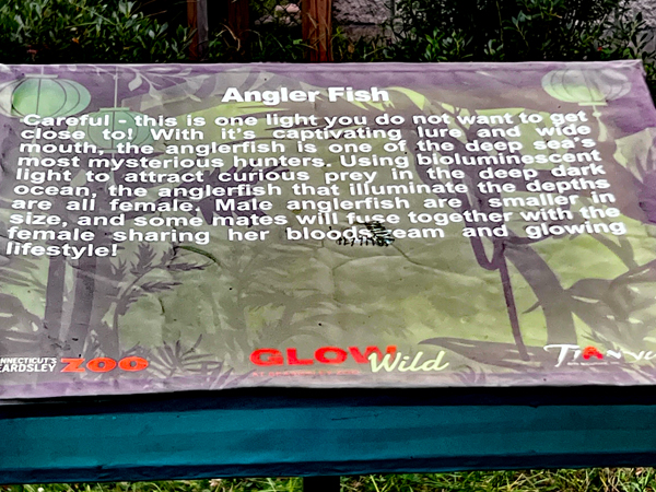 sign about Angler Fish