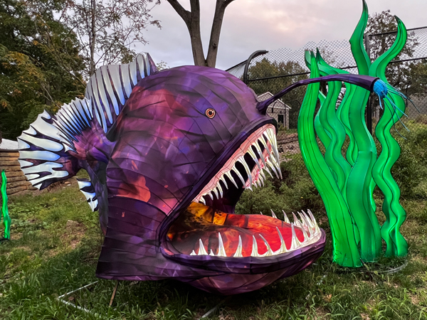 Angler Fish with sharp teeth