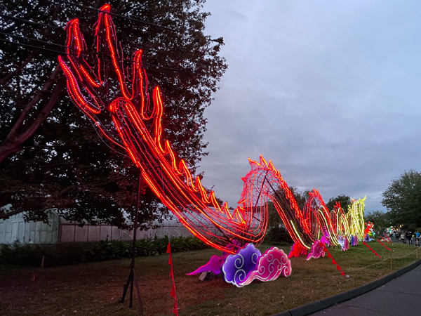 Light Sculpture Dragon at night time