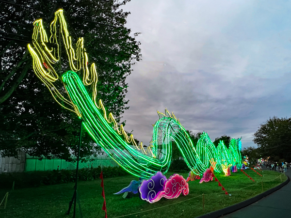 Light Sculpture Dragon at night time