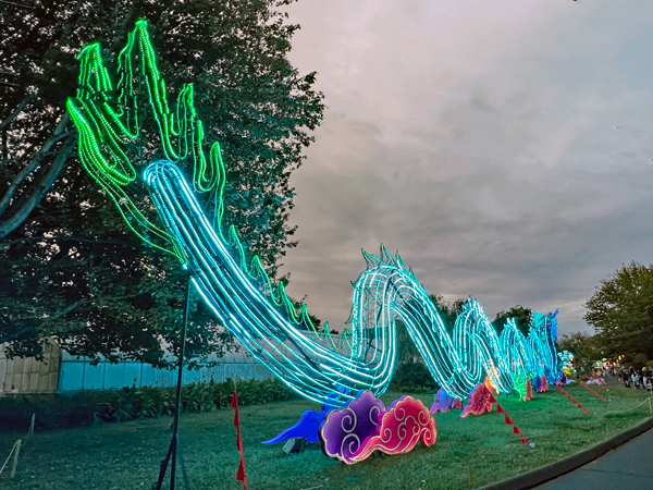 Light Sculpture Dragon at night time