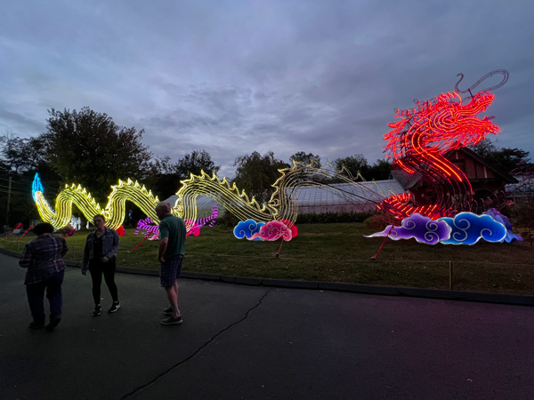 Light Sculpture Dragon at night time