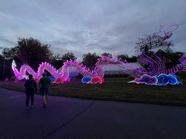 Light Sculpture Dragon at night time