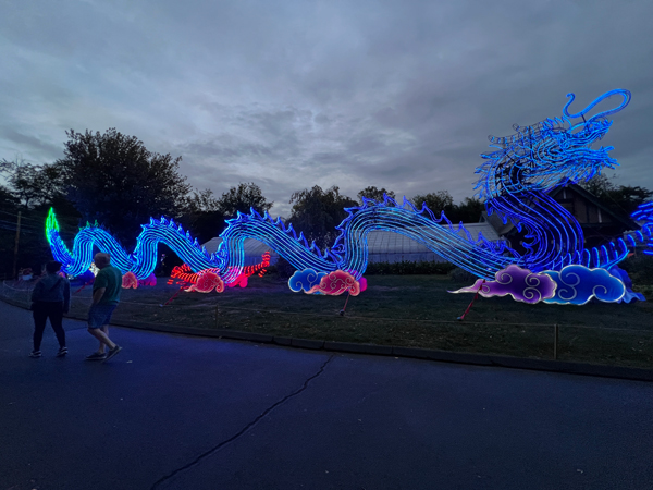 Light Sculpture Dragon at night time