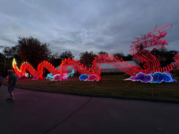 Light Sculpture Dragon at night time