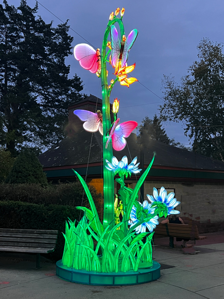 flowers at night