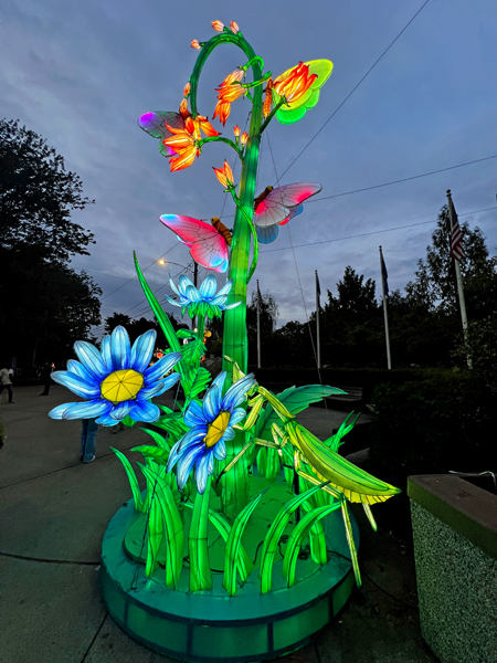 flowers at night