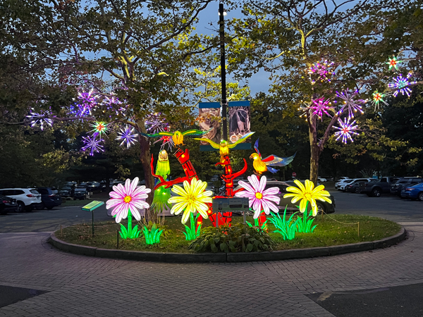 Night time view of the flower display