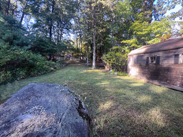 Lisa Duquette's back yard