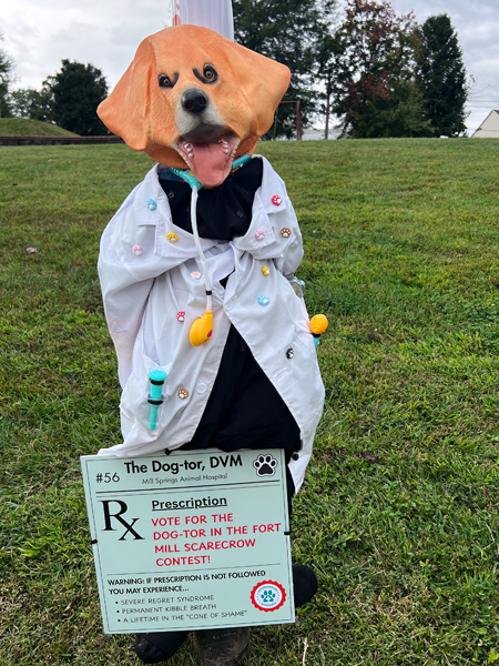 TM/S Springs Animal Hospital sarecrow