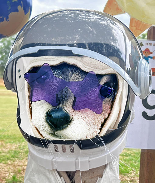 Foundation for Fort Mill Schools scarecrow dog head