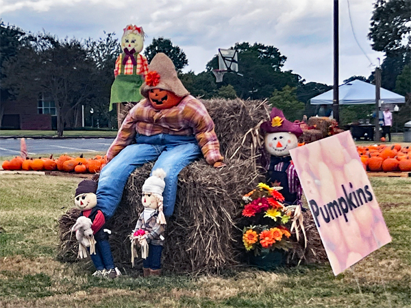 Pumpkins for sale