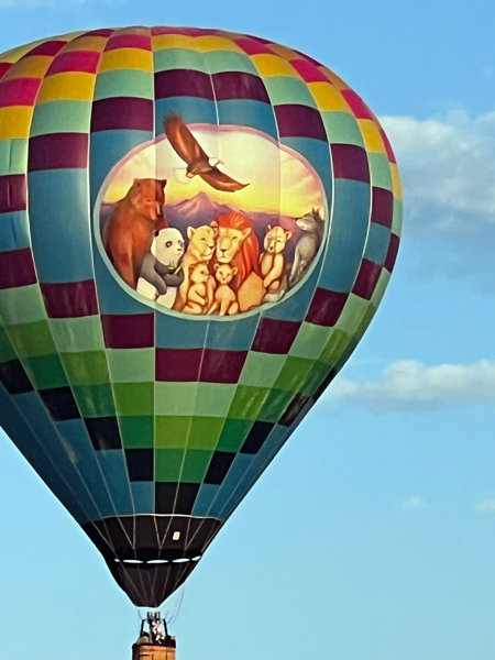 side on ot the balloo