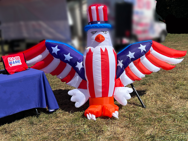 Eagle with USA wings