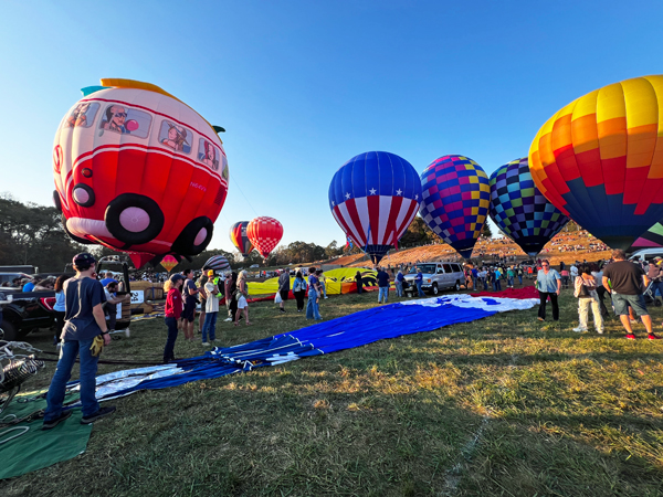 lots of hot air balloons