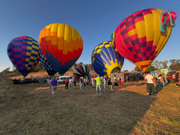 lots of hot air balloons