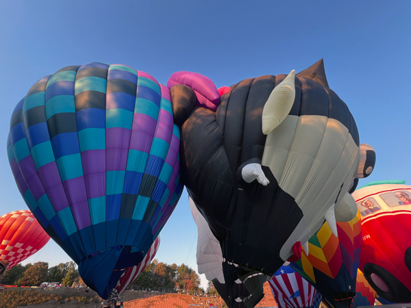 hot air balloons