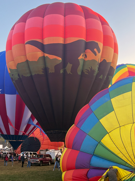 Tracy Leaver and the dinosaur hot air balloon