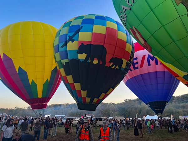 bear and bird hot air balloon