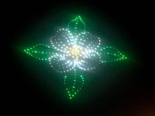 drones form a flower