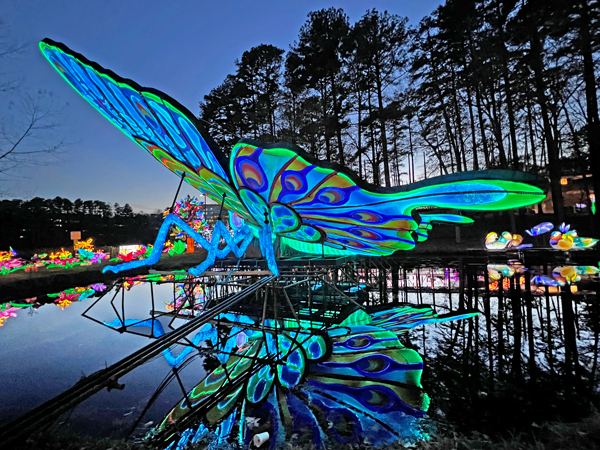 Big Butterfly with reflection in wate