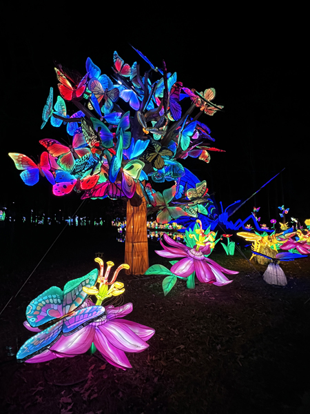 Butterfly tree at dark