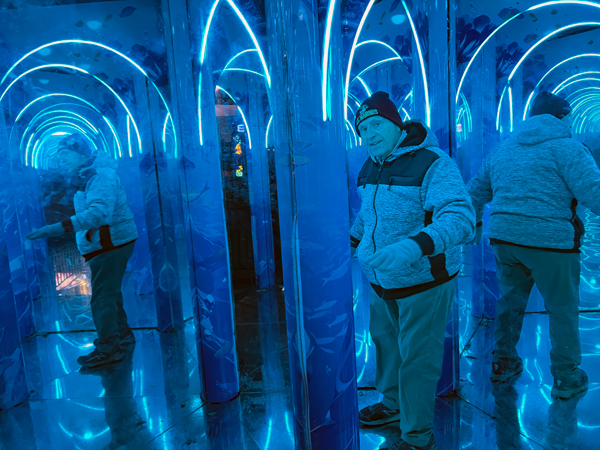 Lee Duquette in The Mirror Maze