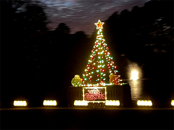 Merry Christmas tree in entrance