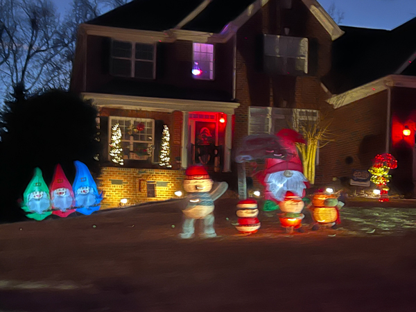 Christmas Decorations in Shelly Woods