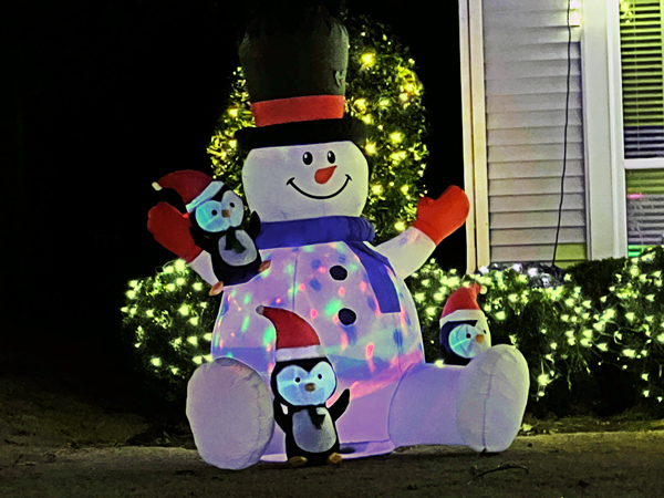 snowman and penquins