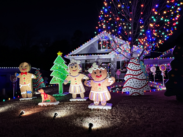Christmas Decorations in Shelly Woods