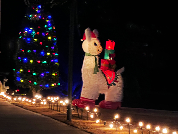 Christmas Decorations in Shelly Woods