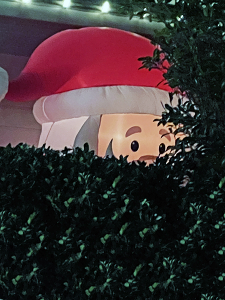 Santa hiding behind a bush