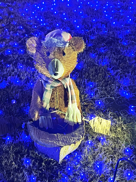 Teddy bear in a rowboat