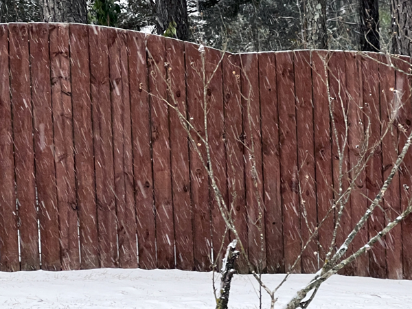 snow by the fence