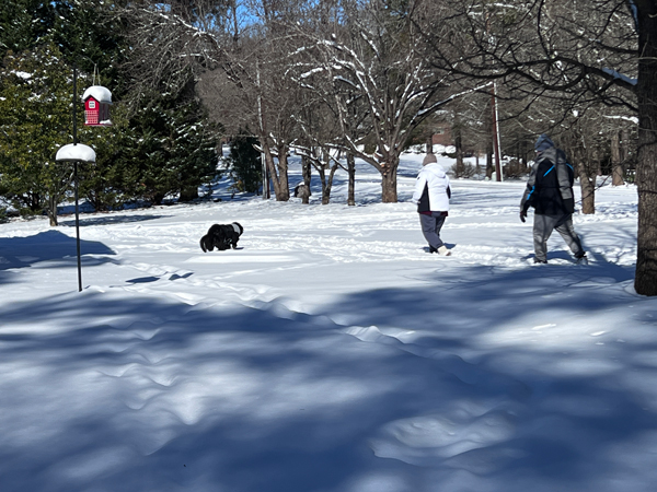 family in snow