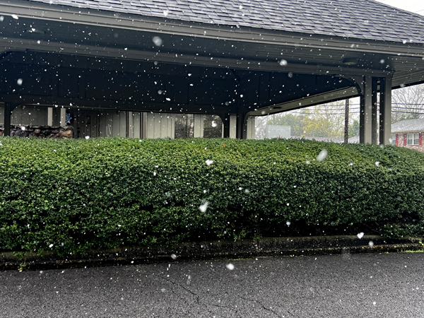 snowflakes